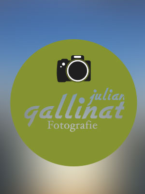 Logo von Julian Gallinat Design